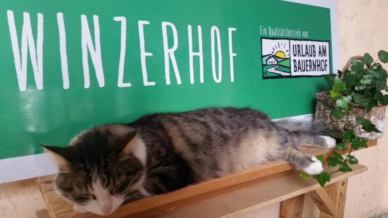 Winzerhof Fleischmann 호텔 Kleinhoflein 외부 사진