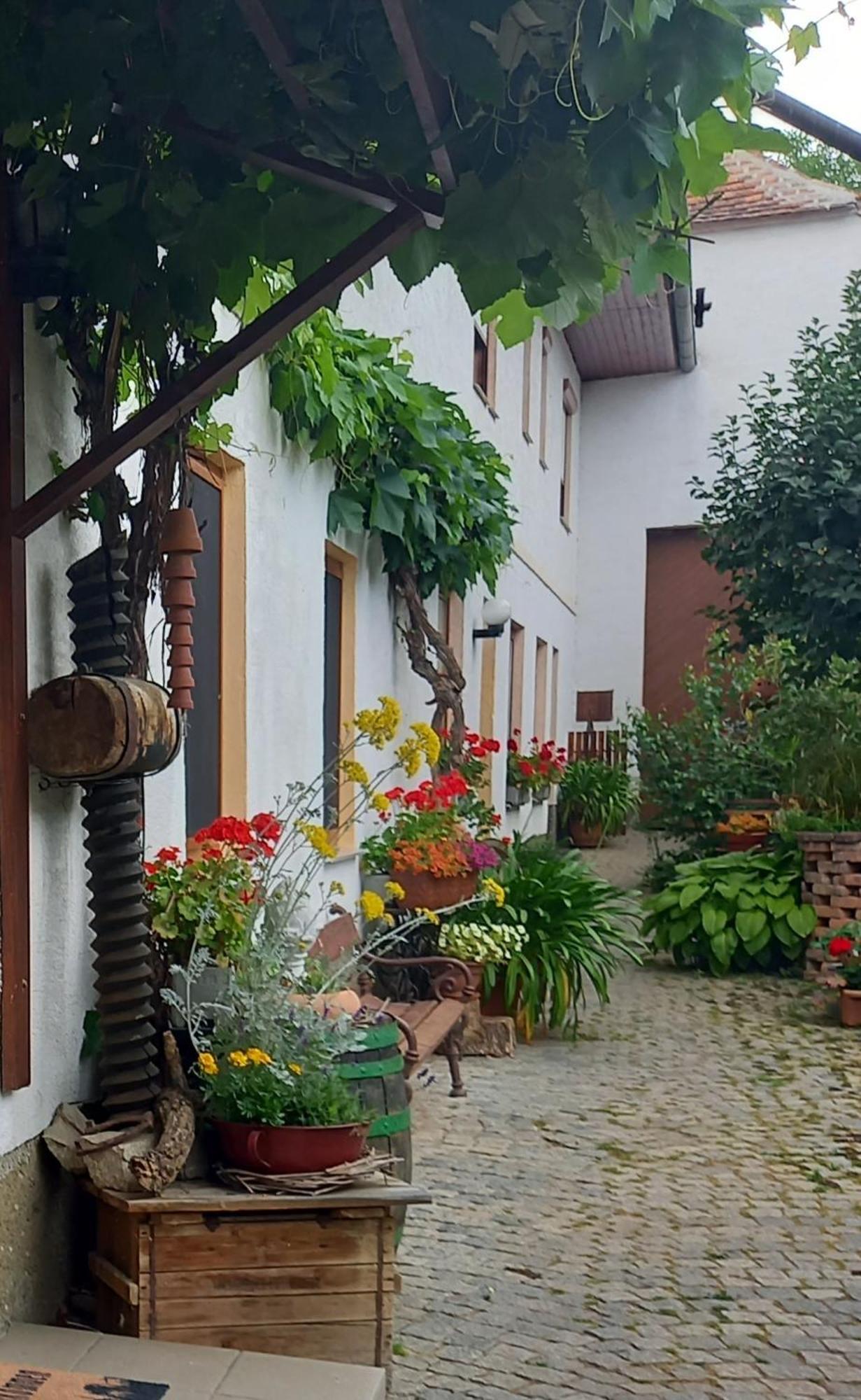 Winzerhof Fleischmann 호텔 Kleinhoflein 외부 사진